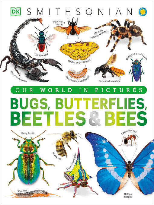 Cover image for Our World in Pictures Bugs, Butterflies, Beetles and Bees